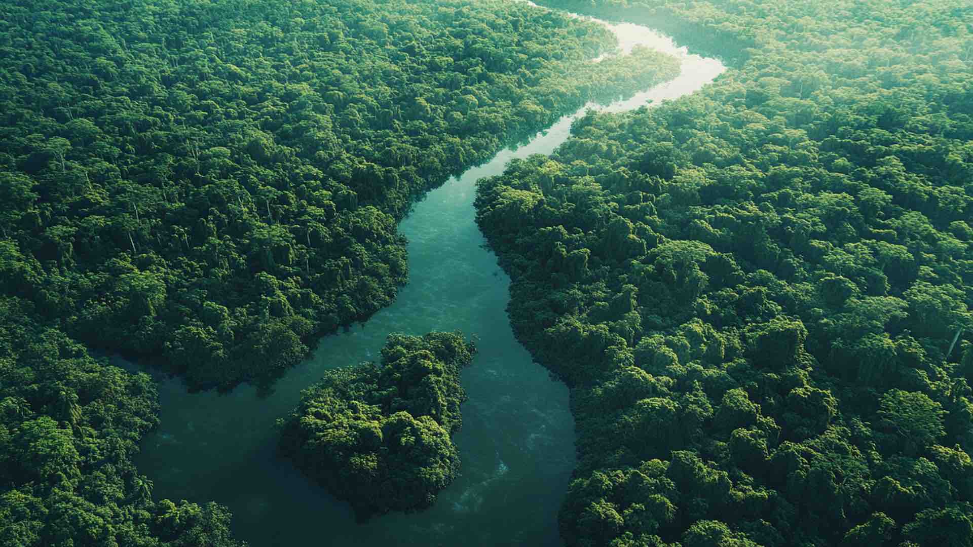 Brazil’s Negro River falls to lowest level in 122 years amid drought